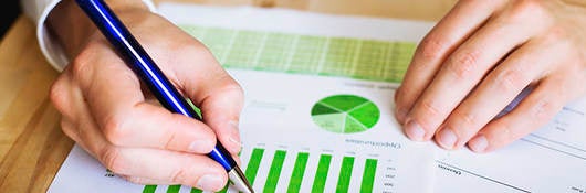 Sustainability reporting